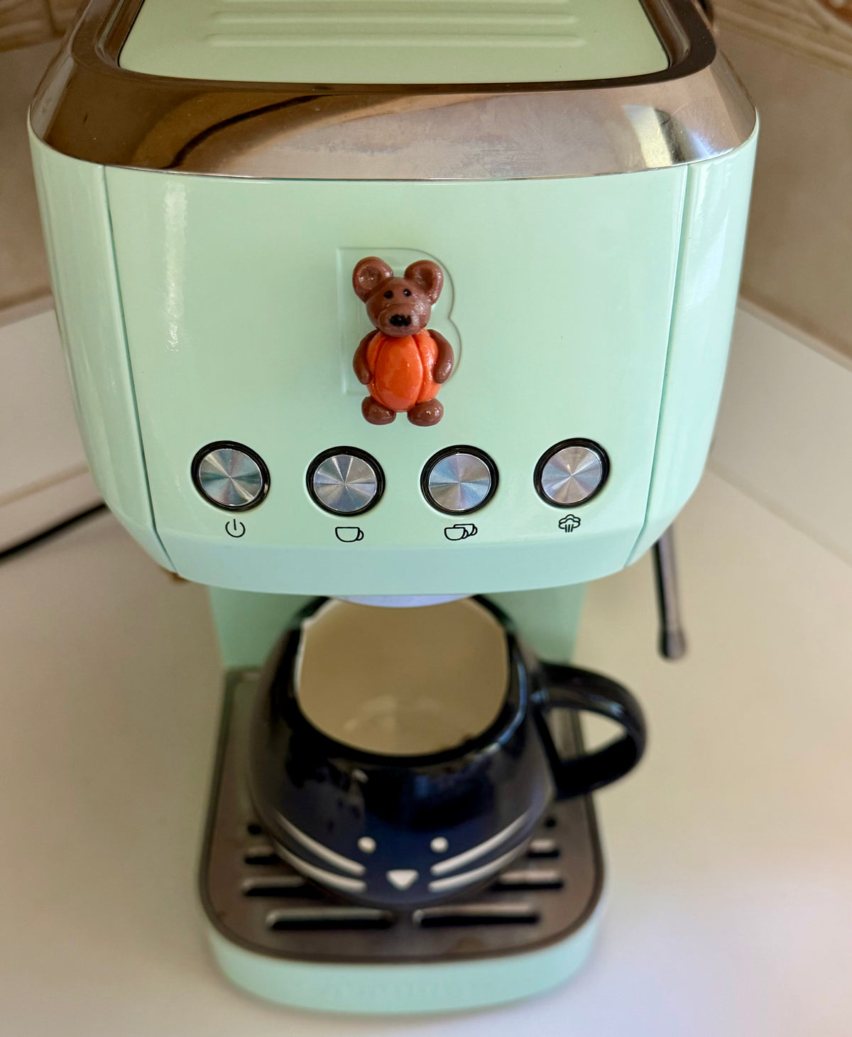Pumpkin Bear Magnet