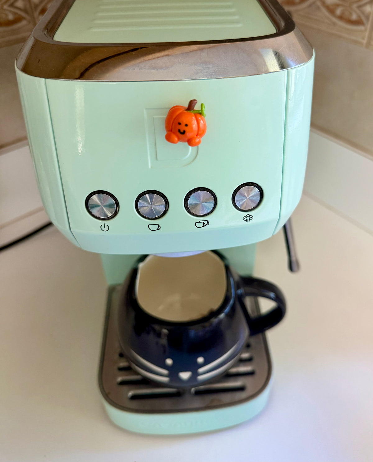 Pumpkin Magnet